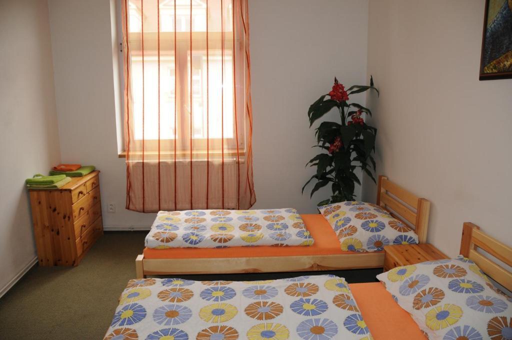 Penzion Pupendo Hradec Králové Extérieur photo